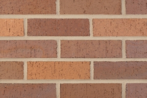 Jatoba Velour