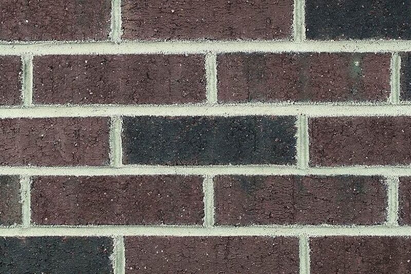 Old Plantation Brown No White